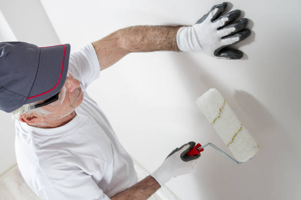 Professional Dry wall and painting in Edgard, LA